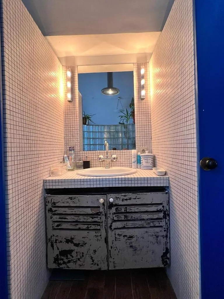 Le Loft Des Artistes Apartment Brussels