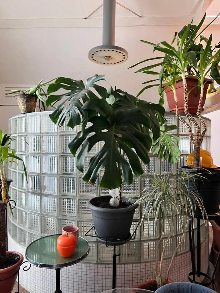 Le Loft Des Artistes Apartment Brussels